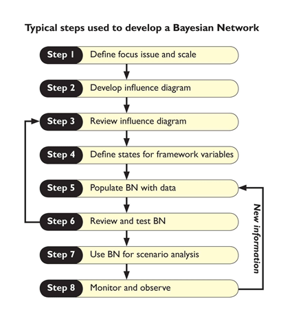 Typical steps used to develop a Bayesian Network